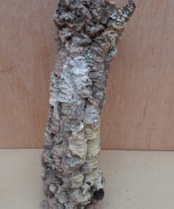 Small Cork Tube - Upto 40cm - 30