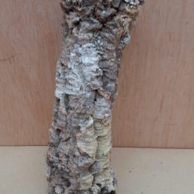 Small Cork Tube - Upto 40cm - 30