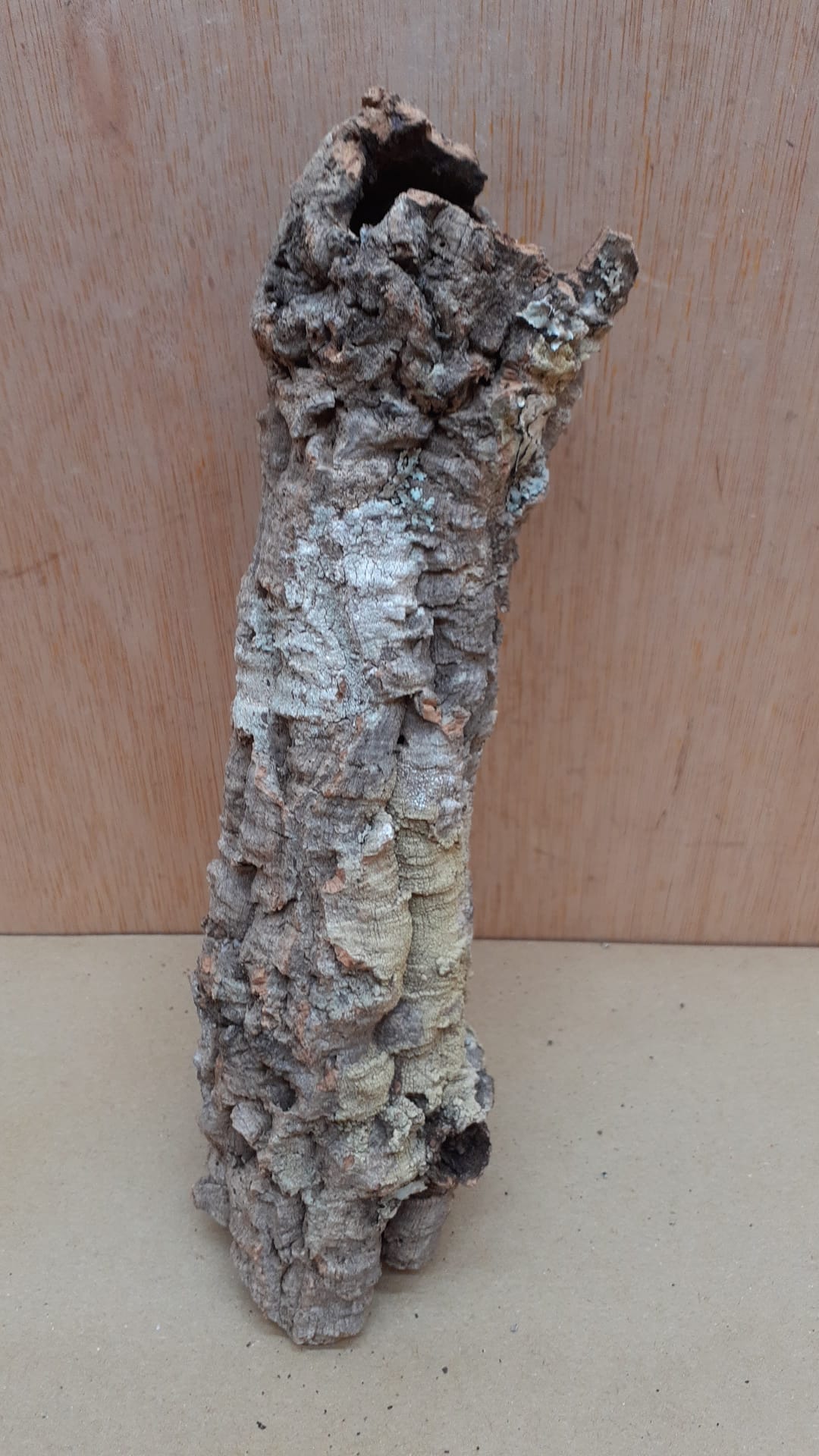 Small Cork Tube - Upto 40cm - 30