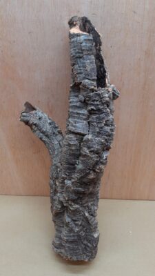 Small Cork Tube - 40-60cm - 22
