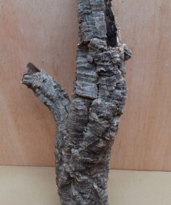 Small Cork Tube - 40-60cm - 22