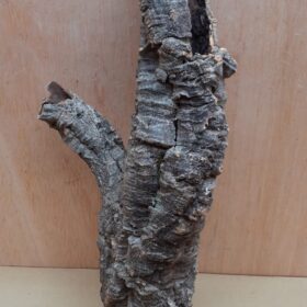 Small Cork Tube - 40-60cm - 22