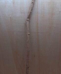 Straight Liana 2-3cm - Long - 12