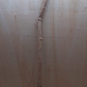 Straight Liana 2-3cm - Long - 12