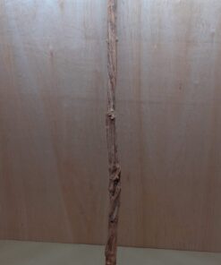 Straight Liana 2-3cm - Long - 13