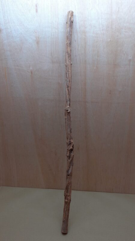 Straight Liana 2-3cm - Long - 13