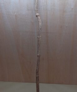 Straight Liana 2-3cm - Long - 14