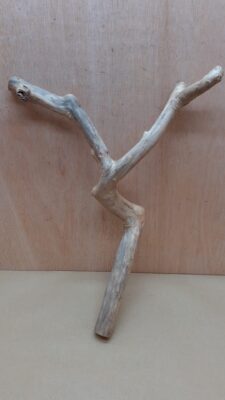 Java Wood - Double Stem - Medium 15