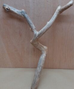 Java Wood - Double Stem - Medium 15