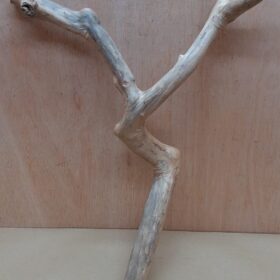 Java Wood - Double Stem - Medium 15