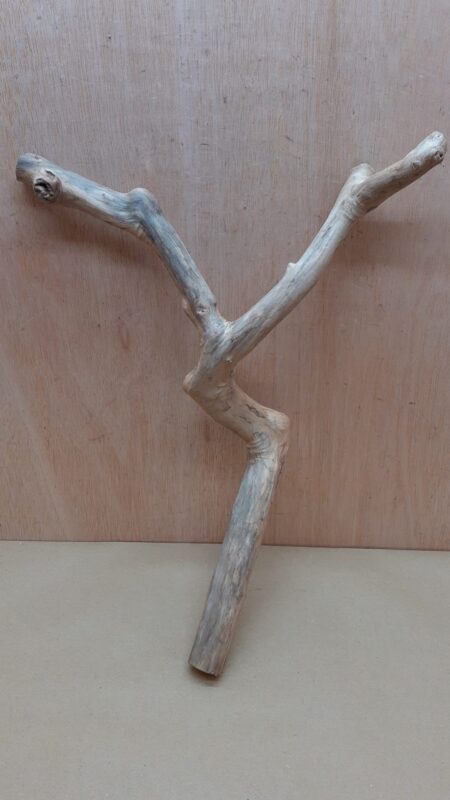 Java Wood - Double Stem - Medium 15