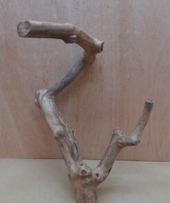 Java Wood - Double Stem - Medium 19