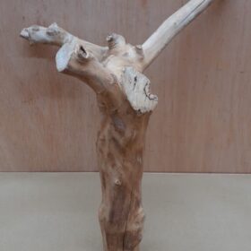 Java Wood - Double Stem - Medium 20