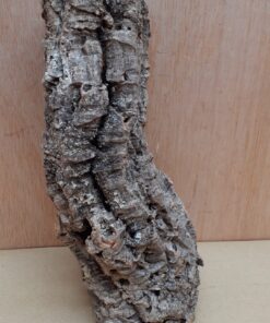 Small Cork Tube - Upto 40cm - 21