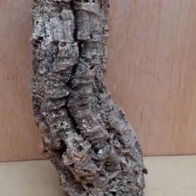Small Cork Tube - Upto 40cm - 21