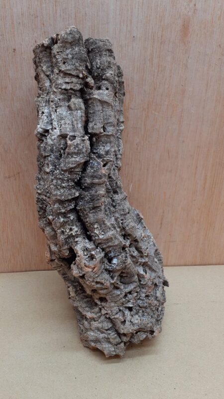Small Cork Tube - Upto 40cm - 21