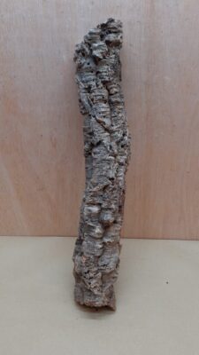 Small Cork Tube - 40-60cm - 24