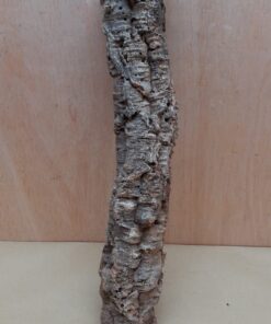 Small Cork Tube - 40-60cm - 24