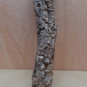 Small Cork Tube - 40-60cm - 24