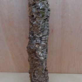 Small Cork Tube - 40-60cm - 25