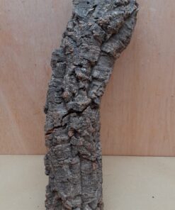 Small Cork Tube - 40-60cm - 26