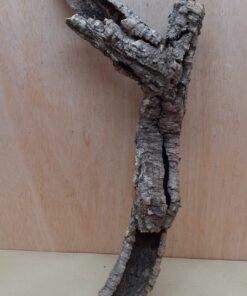 Small Cork Tube - 40-60cm - 27