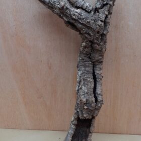 Small Cork Tube - 40-60cm - 27