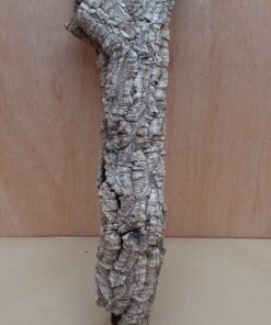 Small Cork Tube - 40-60cm - 28