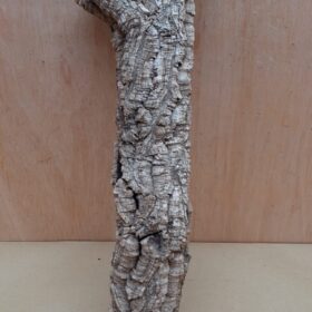 Small Cork Tube - 40-60cm - 28
