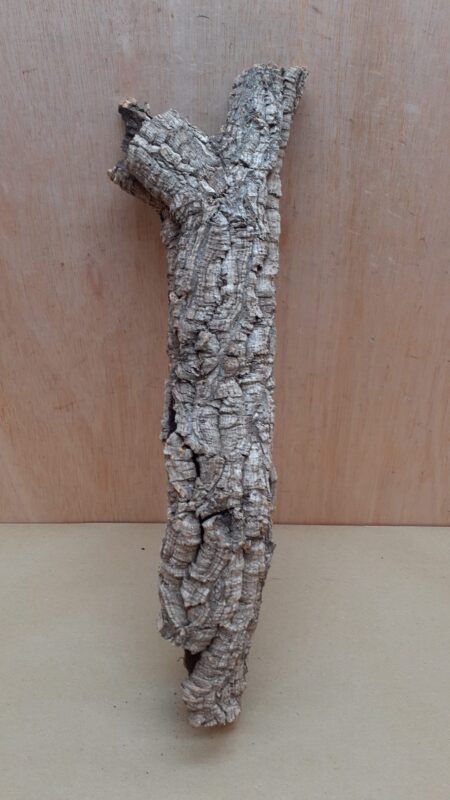 Small Cork Tube - 40-60cm - 28