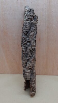 Small Cork Tube - 40-60cm - 30