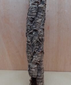 Small Cork Tube - 40-60cm - 30