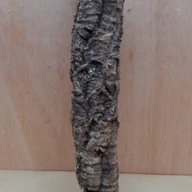 Small Cork Tube - 40-60cm - 30