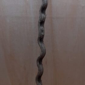 Monkey Ladder Liana - Long - 16