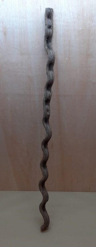 Monkey Ladder Liana - Long - 16
