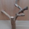 Java Wood - Double Stem - XL 15