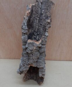 Small Cork Tube - Upto 40cm - 21
