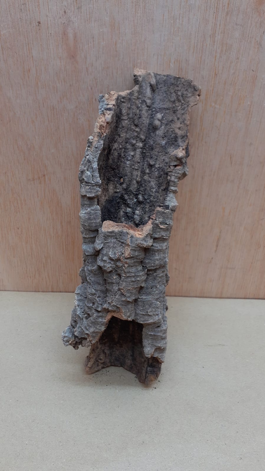 Small Cork Tube - Upto 40cm - 21