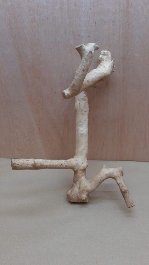 Java Wood - Double Stem - Medium 16 - Buzzard Reptile & Aquatics