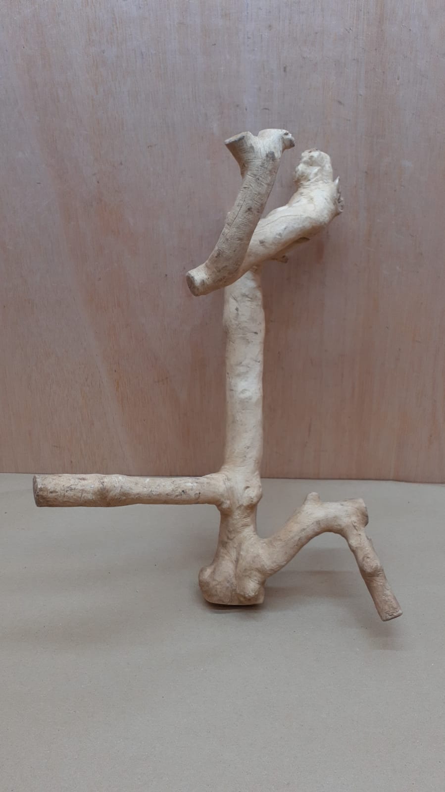 Java Wood - Double Stem - Medium 16