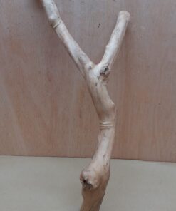 Java Wood - Double Stem - Large 13