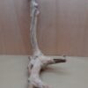 Java Wood - Double Stem - XL 13