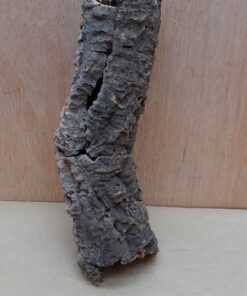 Small Cork Tube - Upto 40cm - 21