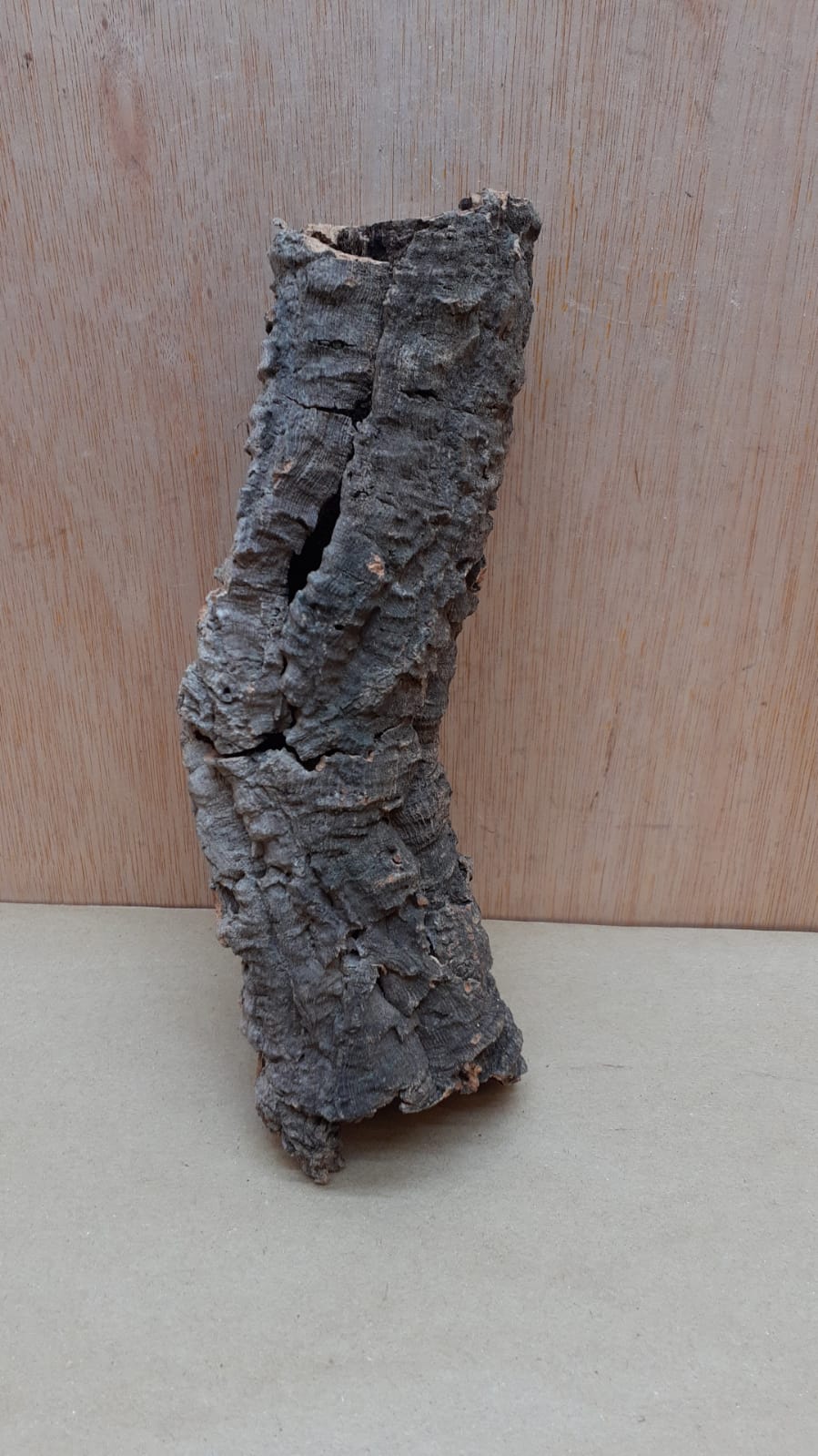 Small Cork Tube - Upto 40cm - 21