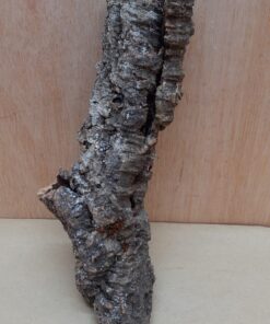 Small Cork Tube - Upto 40cm - 22