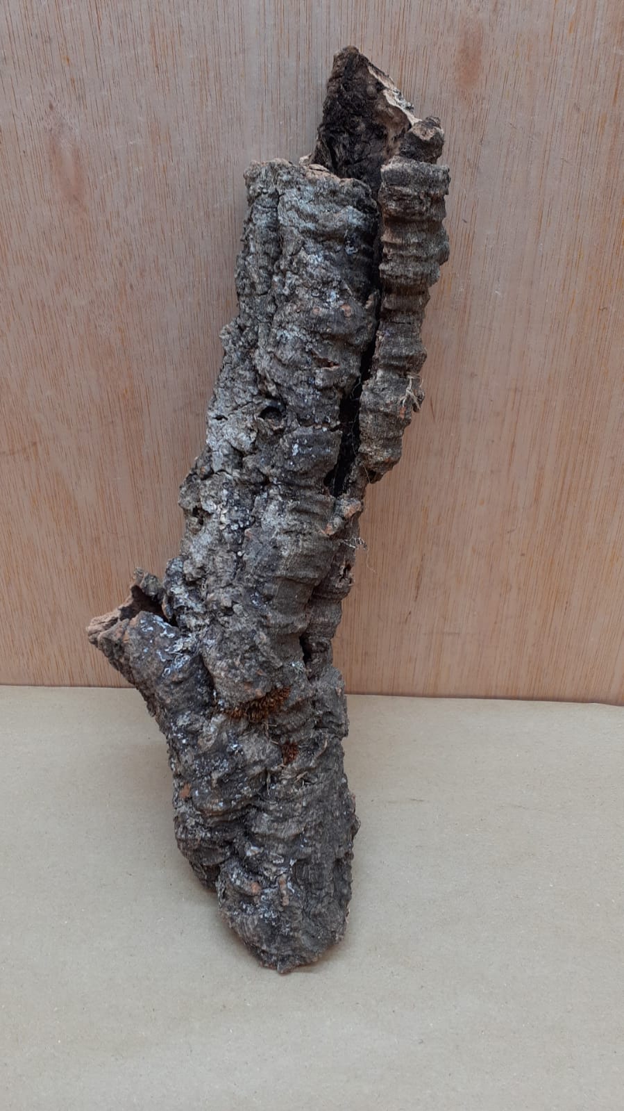 Small Cork Tube - Upto 40cm - 22