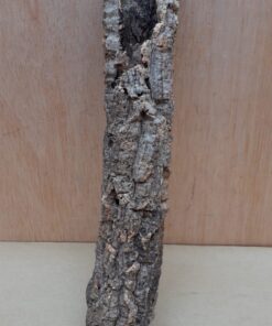 Small Cork Tube - Upto 40cm - 23