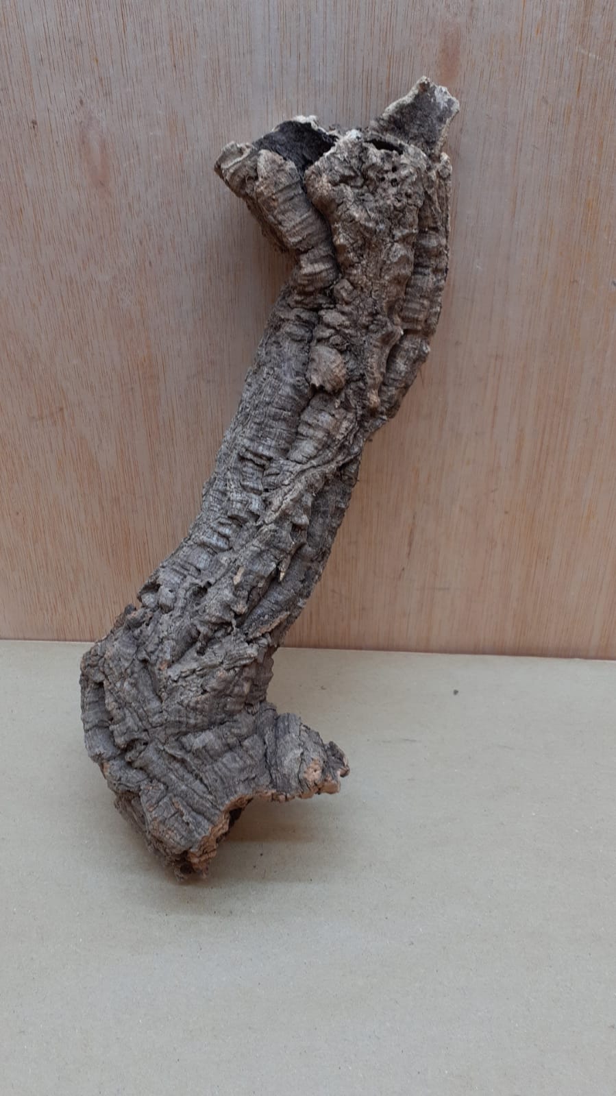 Small Cork Tube - Upto 40cm - 27