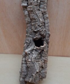 Small Cork Tube - Upto 40cm - 29