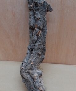Small Cork Tube - Upto 40cm - 30